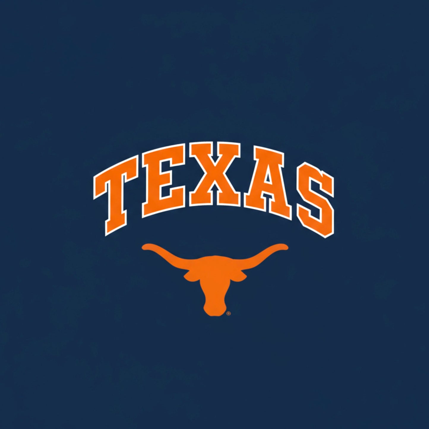 Texas Longhorn-Navy