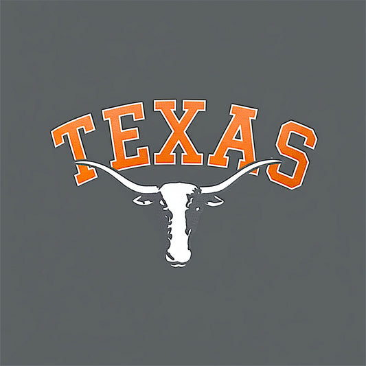 Texas Longhorns Hoodie - Dark Gray