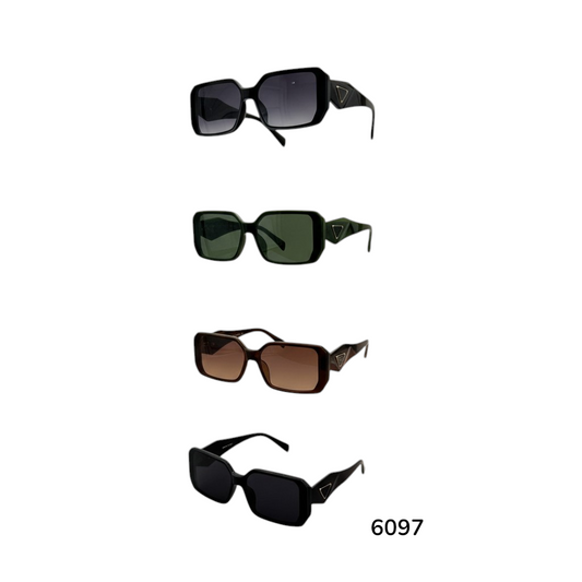 6097 Retro Square Sunglasses- 1 Dzn
