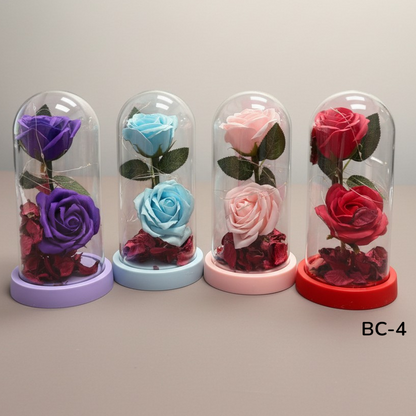 BC-4 Magic Rose Light- 1 Dzn