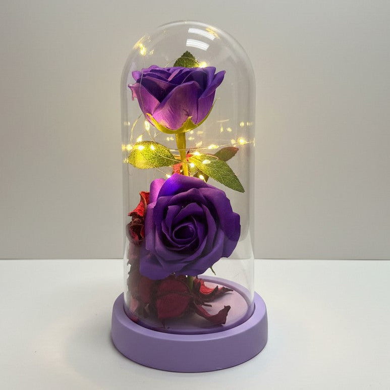 BC-4 Magic Rose Light- 1 Dzn