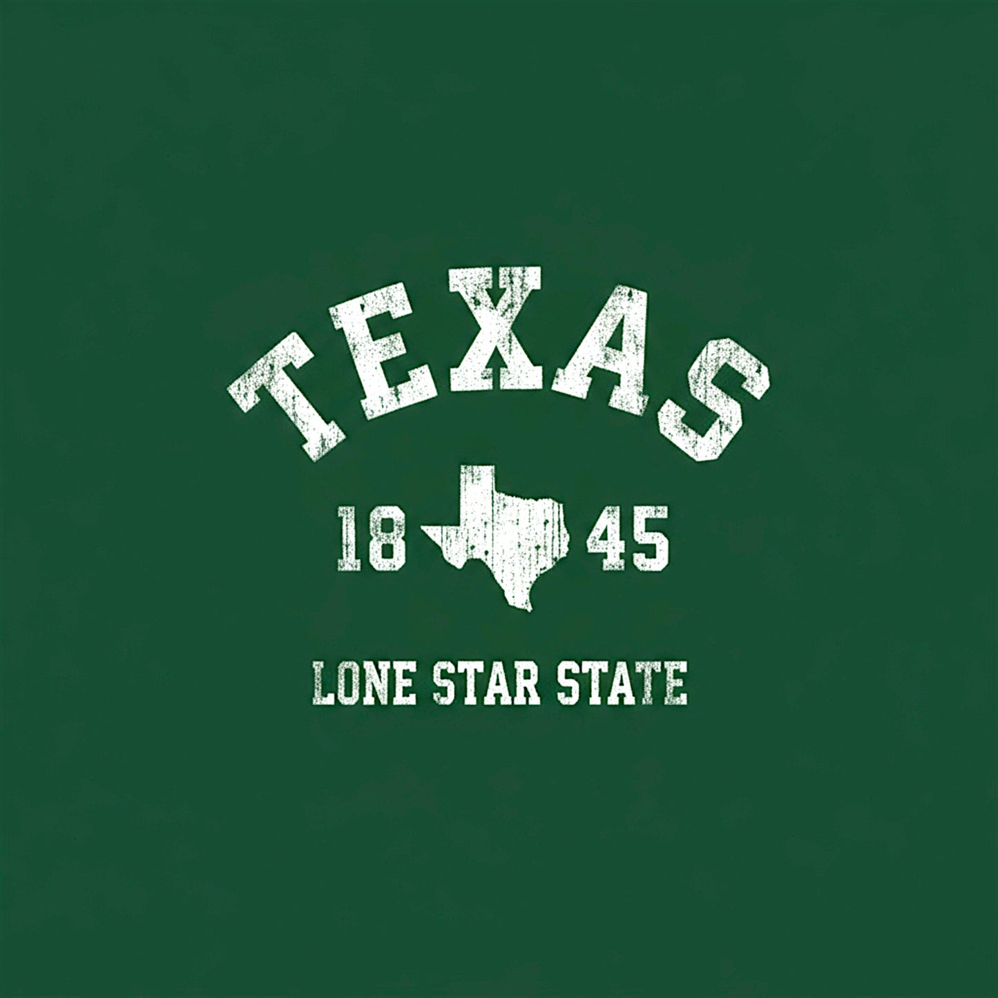 Texas 1845 Lone Star State Hoodie