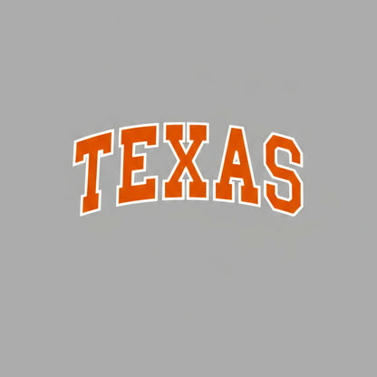Texas Hoodie - Gray